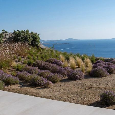 Zelia B&B Mykonos Town Buitenkant foto
